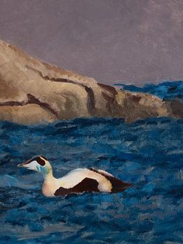 Bruno Liljefors, Eiders on a skerry.