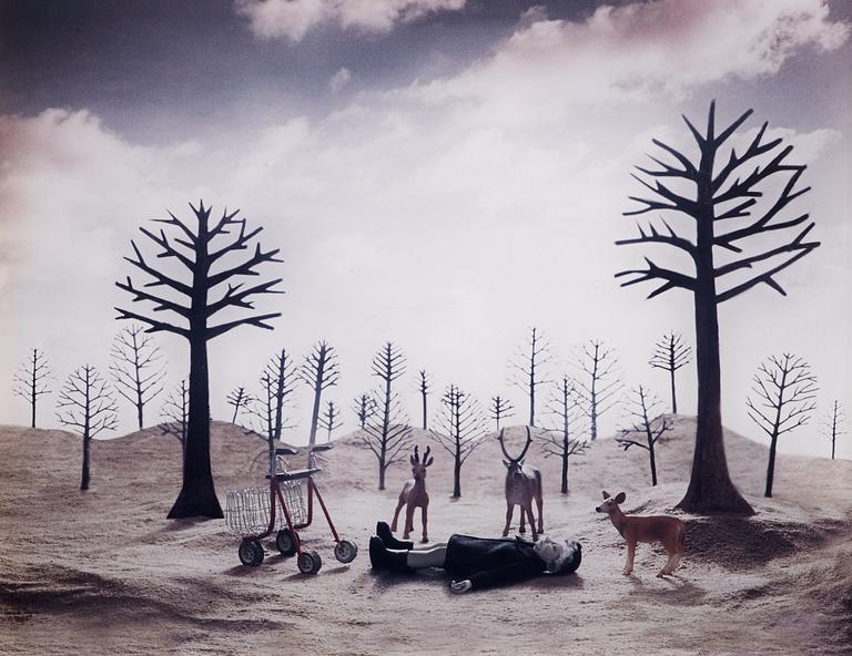 Helena Blomqvist, "Spring, Summer, Autumn, Winter", 2003 (4).