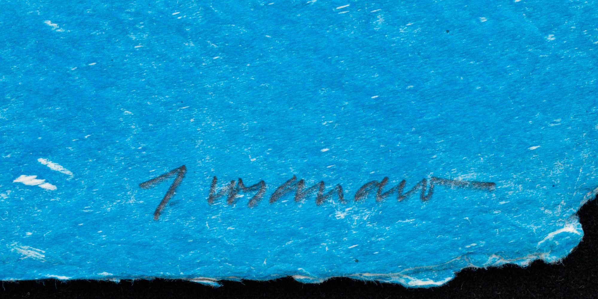 JAMES COIGNARD, carborundumgravyr, signerad och numrerad HC.