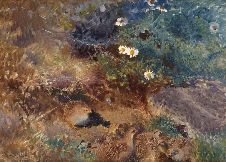 Bruno Liljefors, Partridge with chicks.