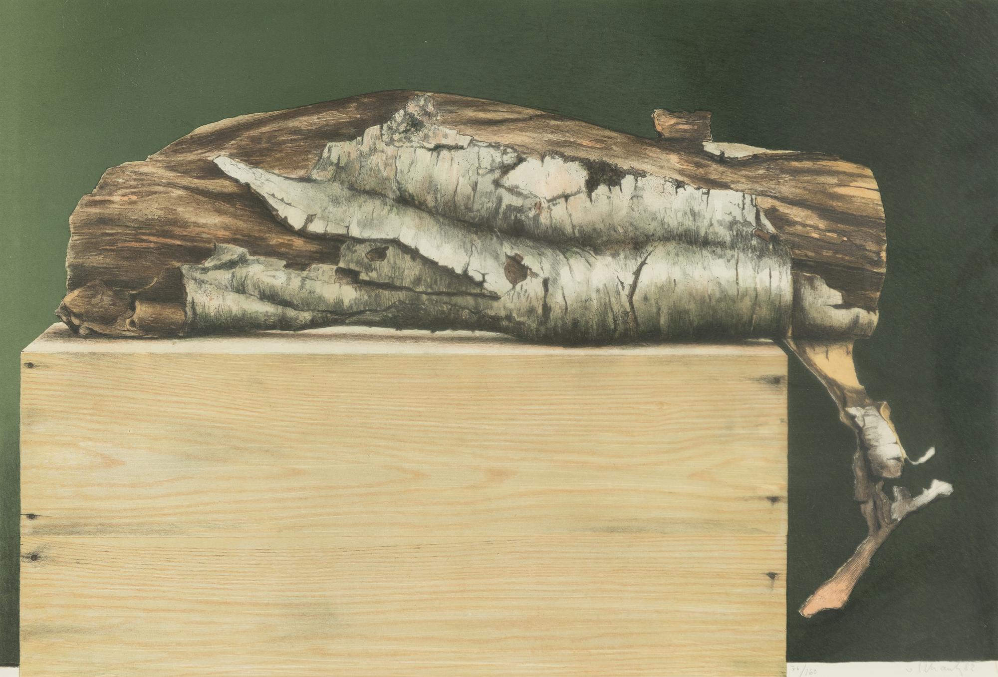 Philip von Schantz, "Björkbit".