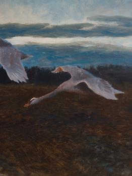 Bruno Liljefors, Twilight landscape with stretching swans.