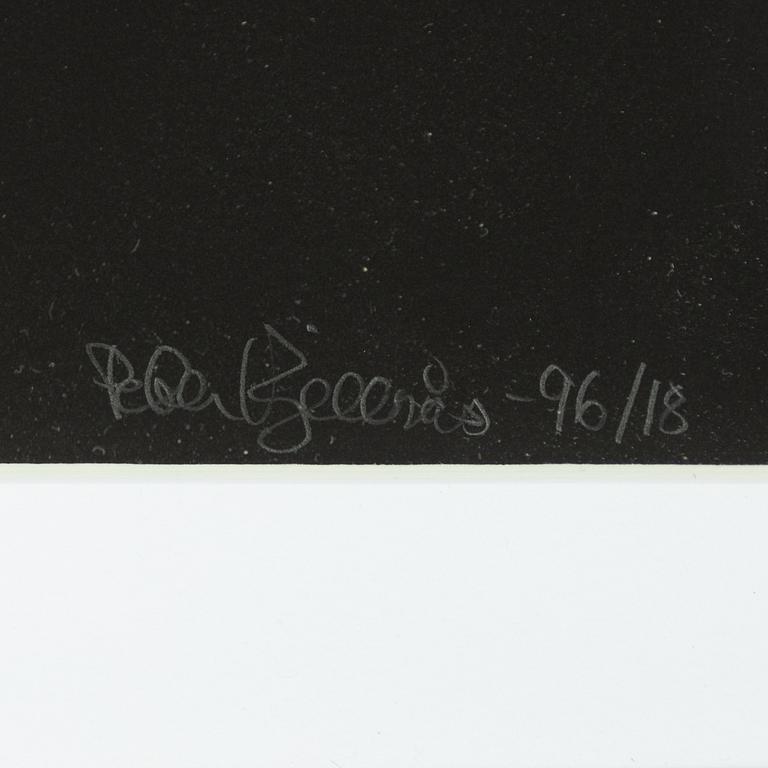 Peter Kjellerås, "Lou Reed, Stockholm", 1996.