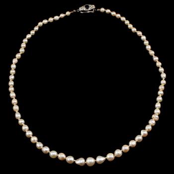 COLLIER, odlade pärlor, lås av silver, 1900-talets första hälft.