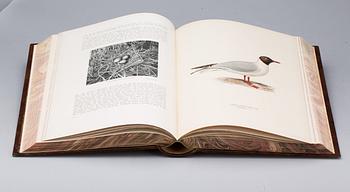 BÖCKER, 3 vol, "Svenska Fåglar", M,W & F von Wright, Stockholm, 1927-1929.