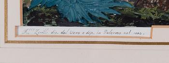 Francesco Zerilli, PANORAMA ÖVER PALERMO.