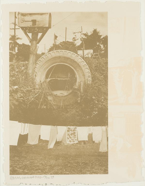 Robert Rauschenberg, "Mud Dauber" from Rockery Mounds.