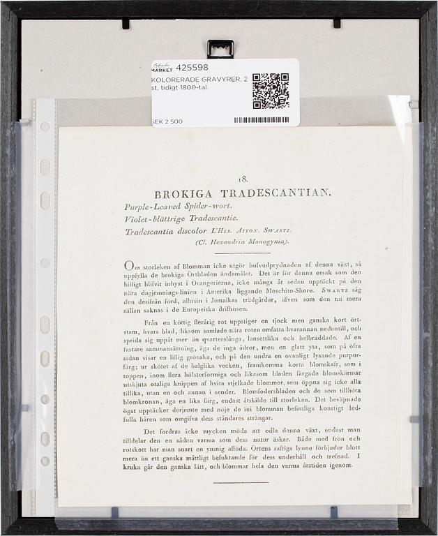 KOLORERADE GRAVYRER, 2 st, tidigt 1800-tal.