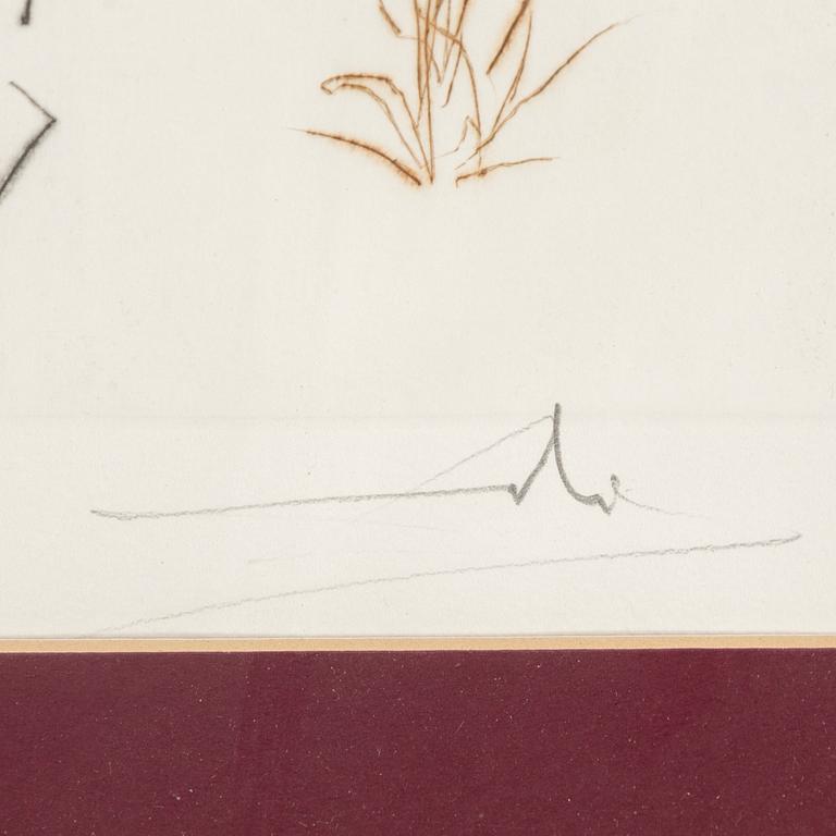 SALVADOR DALÍ, etching, signed and numbered 1/100.