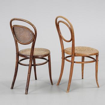 STOLAR, 2 st, bla. Fischel, 1900-talets början.