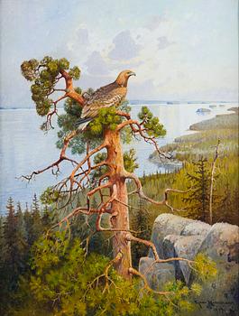 Ejnar Kohlmann, Merikotka.