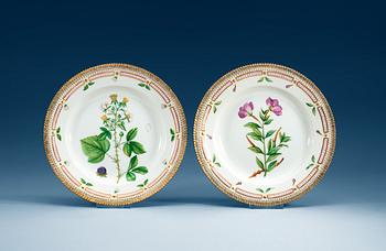 1383. A set of six Royal Copenhagen 'Flora Danica' dinner plates, 20th Century.