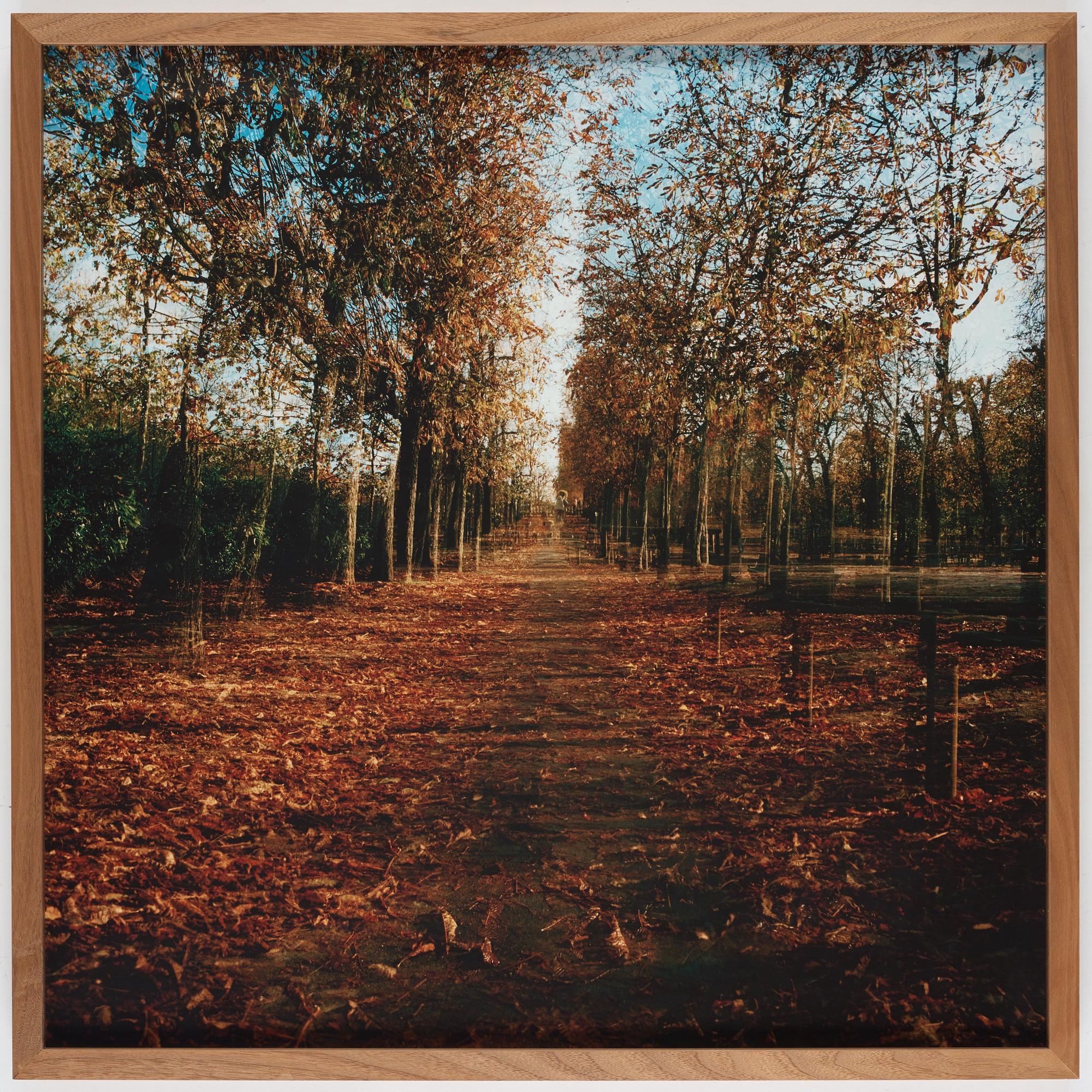 Marie Andersson, "Inferno x 3 - Luxembourg trädgården", 2010.