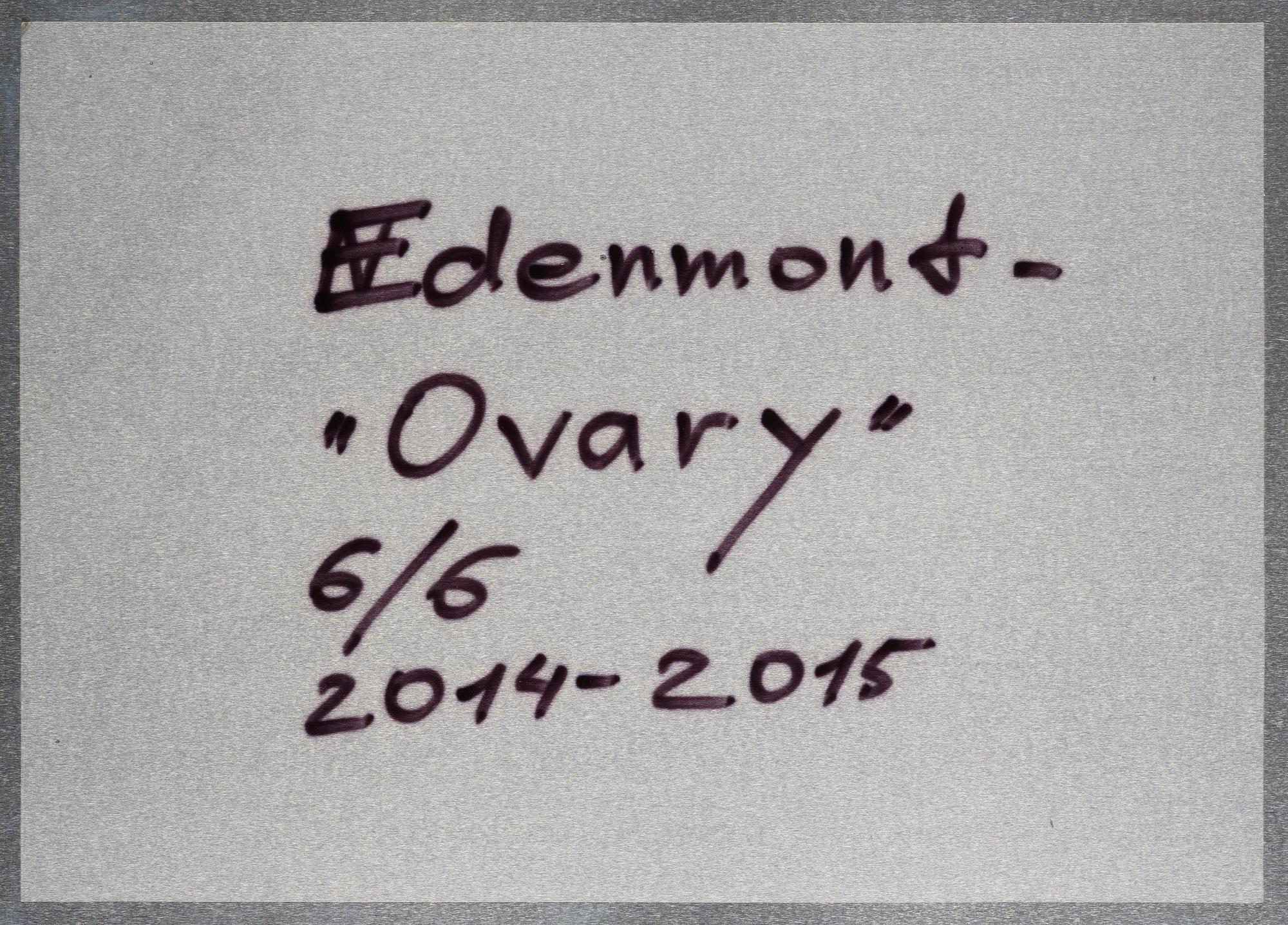 Nathalia Edenmont, "Ovary", 2015.