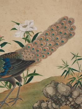 Two ornitological paintings, chinese school, Qing dynasty, circa 1800.