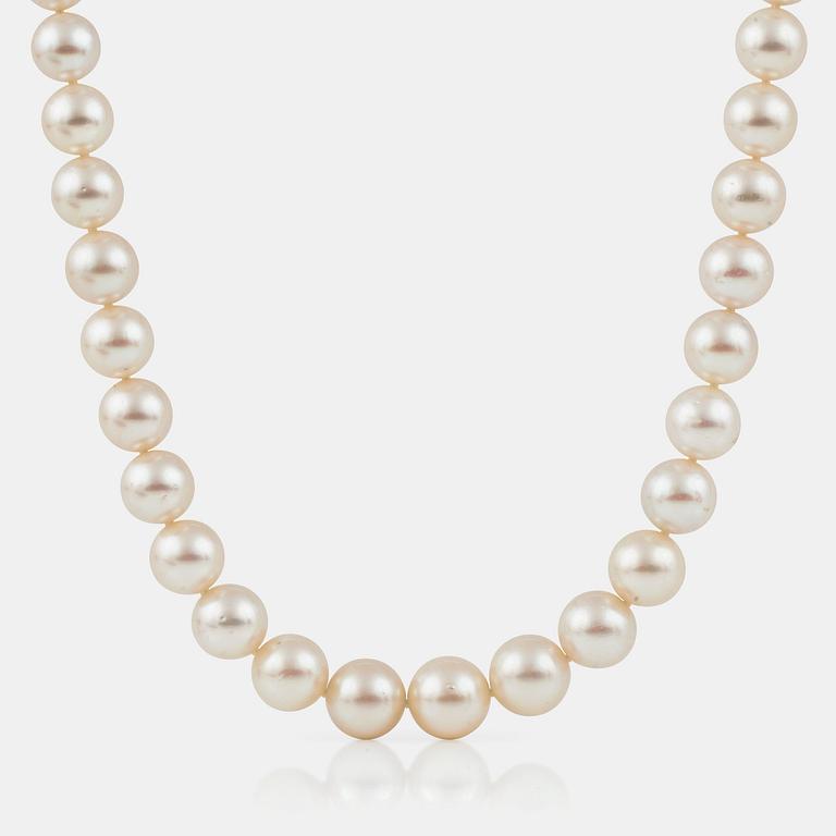PÄRLCOLLIER med odlade Söderhavspärlor (South sea) Ø 14 - 17.1 mm.