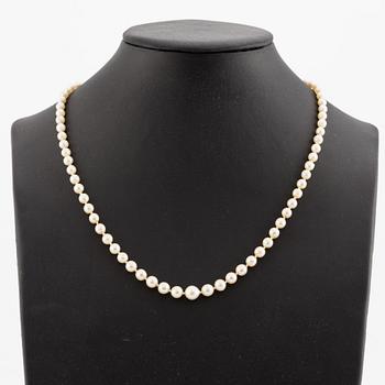 Pearl necklace, with graduated cultured pearls, silver clasp.