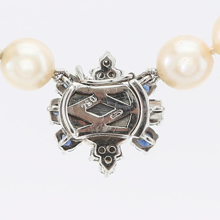 Necklace of cultured pearls with an 18K white gold clasp and round single-cut diamonds and round faceted sapphires.