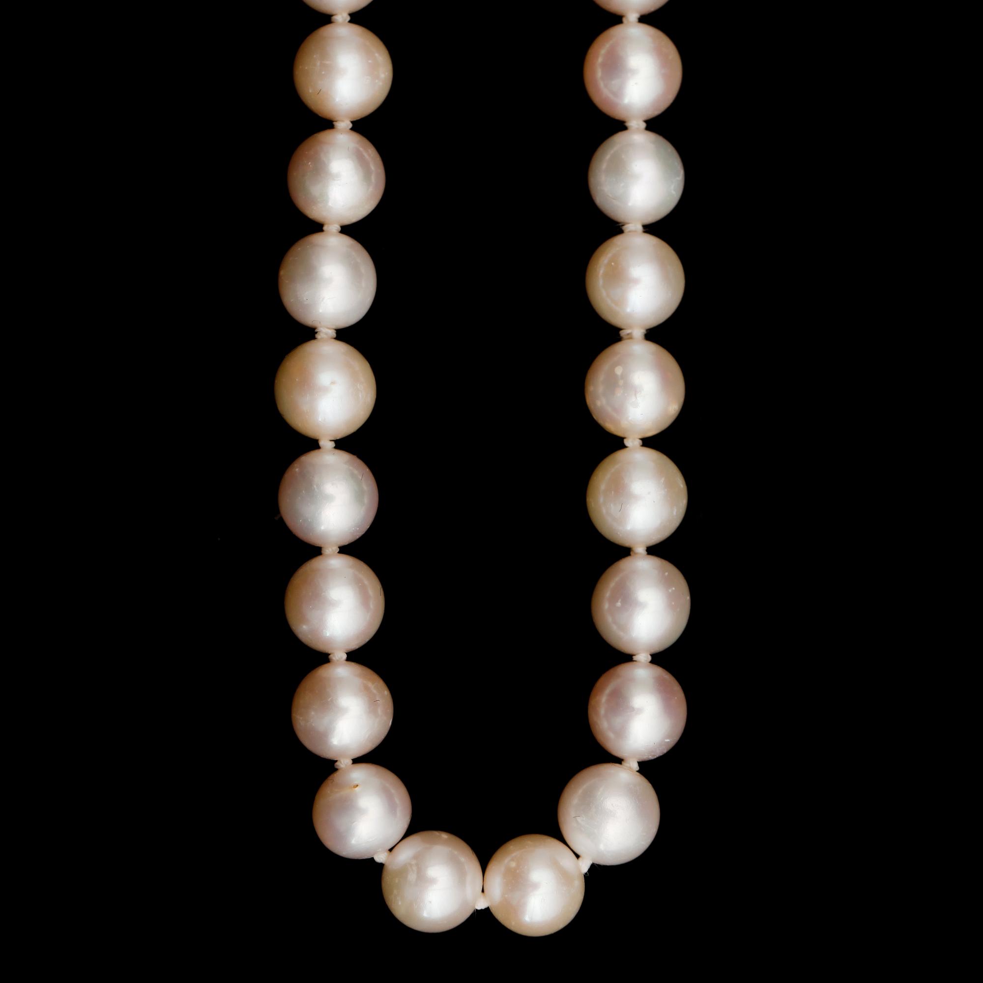 COLLIER, odlade pärlor, Japan, Akoya.