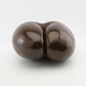 Dubbelkokosnöt, så kallad Coco de Mer, Lodoicea maldivica.