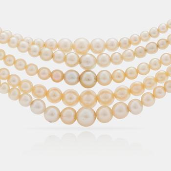584. A 5-strand natural saltwater pearl necklace (one pearl cultured) Clasp with diamonds. Certificate from GCS.