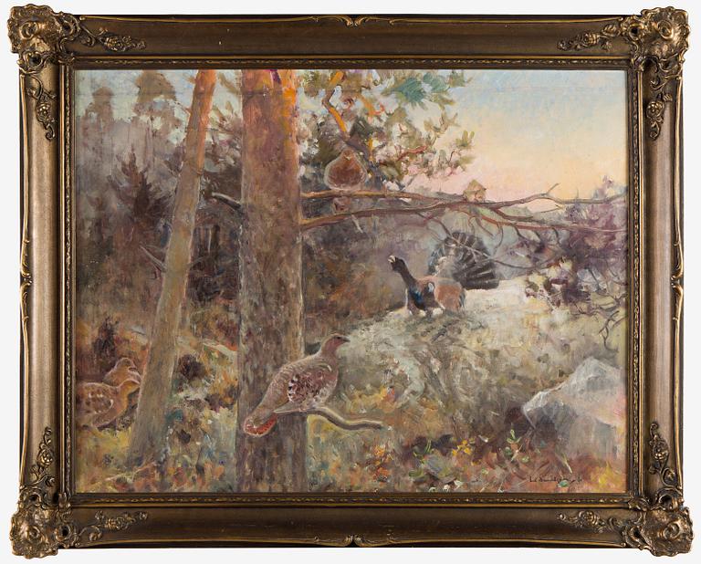 Emil Edvard Danielsson, Capercaillies in a Forest.