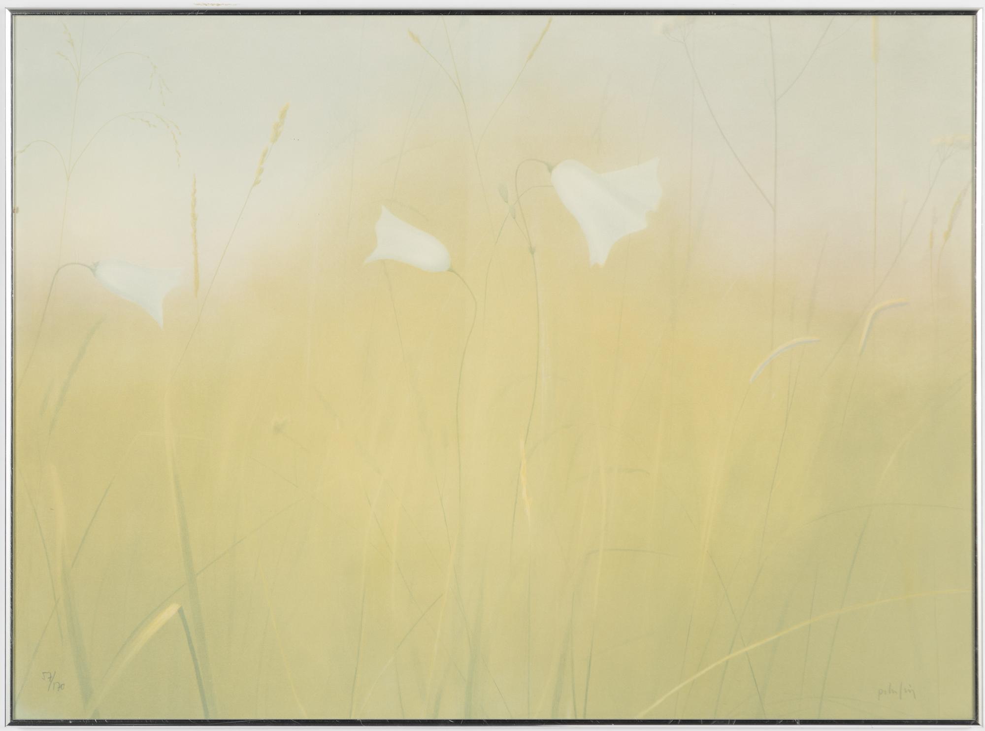 Peter Frie, lithograph, Meadow Flowers.