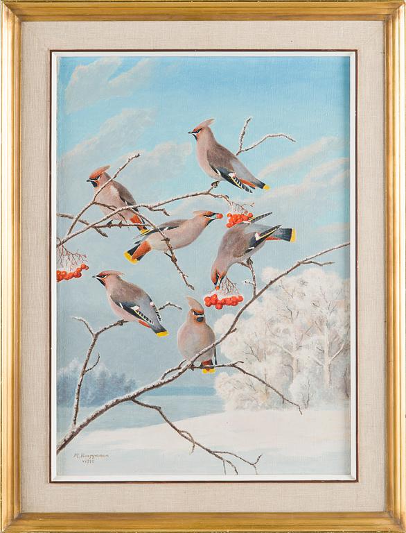 Matti Karppanen, Sidensvansar i Vinterlandskap.