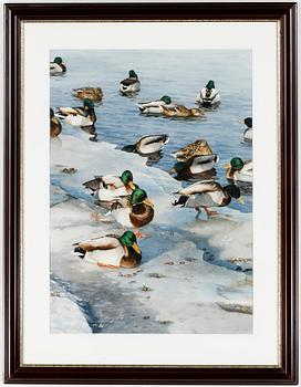 Stephen Clark · STEPHEN CLARK, akvarell, signerad