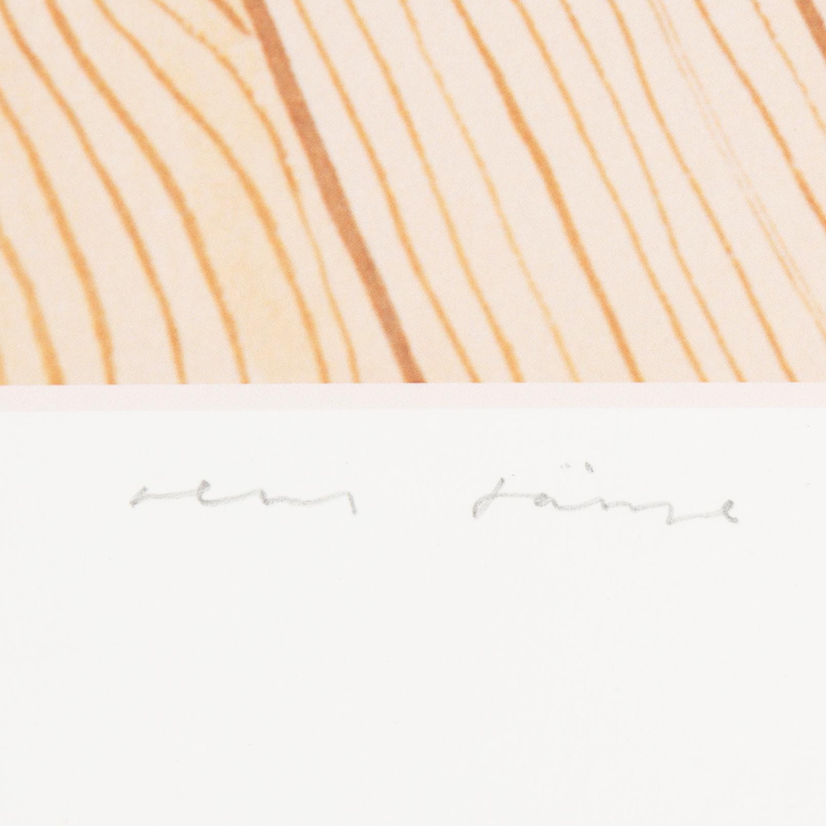 JENS FÄNGE, färglitografi. Signerad och numrerad 58/450.