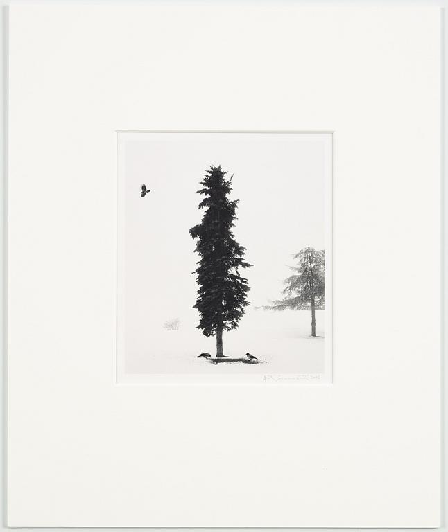 Pentti Sammallahti, Finland Helsinki 2016.