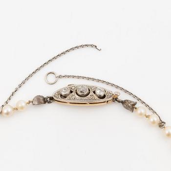 Necklace of cultured pearls, clasp in 14K gold set with old mine and rose-cut diamonds.