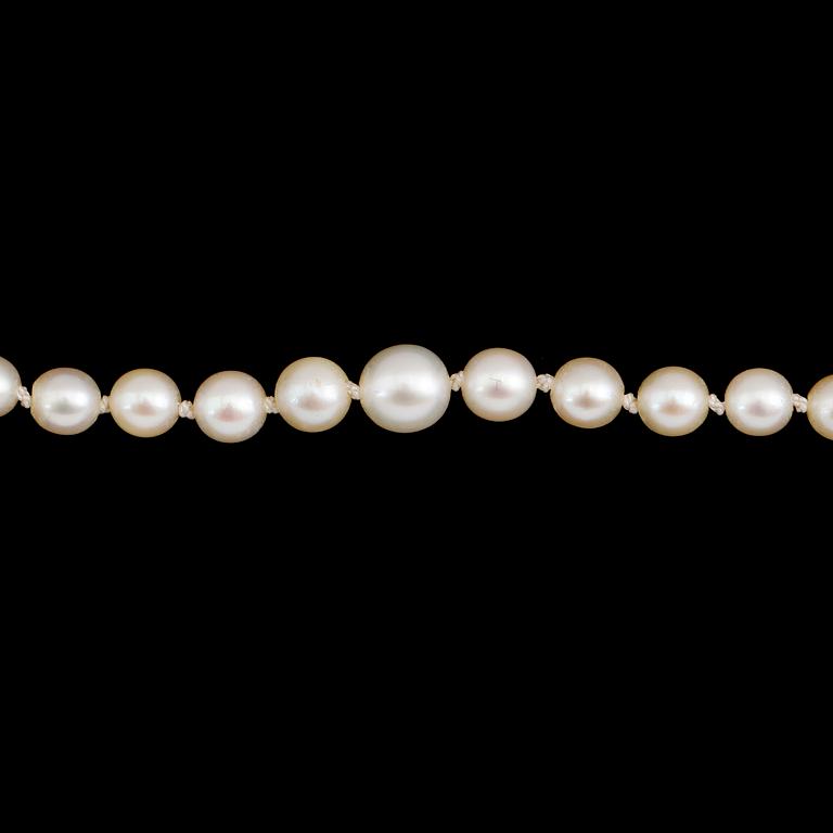 PÄRLCOLLIER, odlade doserade pärlor, lås 18 k guld.