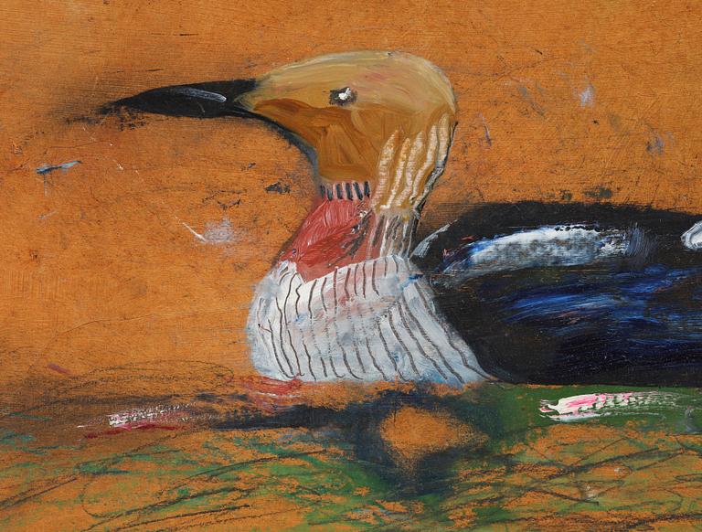 Madeleine Pyk, Great Northern Diver.