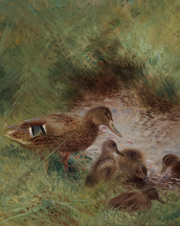Mosse Stoopendaal, Mallard with ducklings.