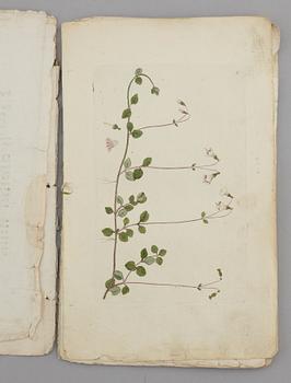 JOHAN WILHELM PALMSTRUCH, "Svensk Botanik, vol I-V. 1803-1805.