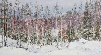 Aares Salli, Vintrig skog.