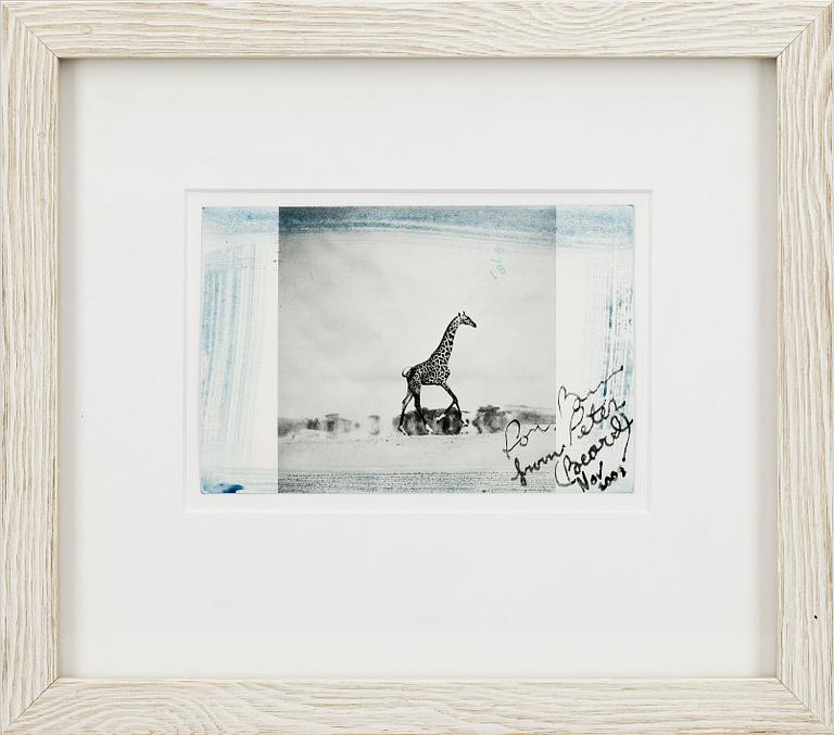 PETER BEARD, kolorerat fotografi, handmålat med signatur och dedikation, dat. 2003. Upplaga om 6 st.