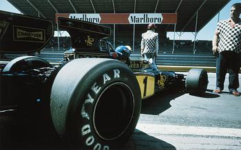 Kenneth Olausson, "Ronnie Peterson segrar på Monza 1974".