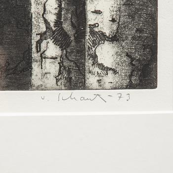 Philip von Schantz, "Björkskog".
