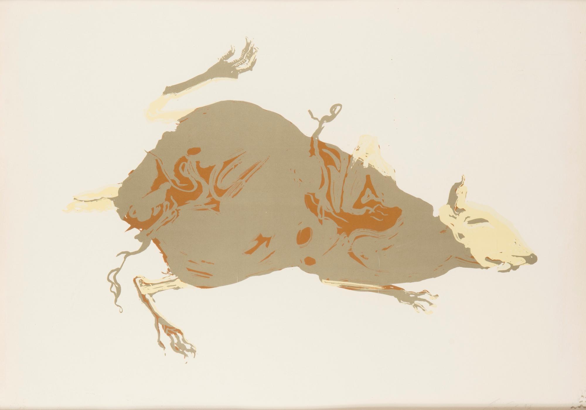 Marjatta Tapiola, Rodent.