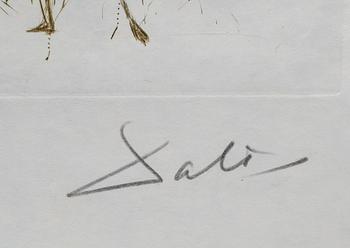 SALVADOR DALÍ, färgetsning på japanpapper, signerad och numrerad XXXVIII/LXXV.