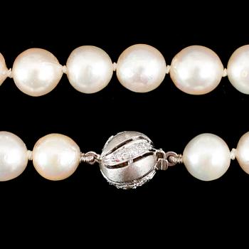 COLLIER, odlade pärlor, lås 18 k vitguld med små briljanter.