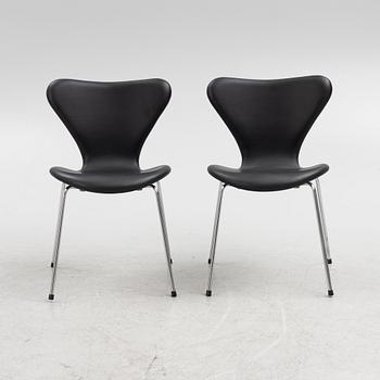 Arne Jacobsen, stolar, 6 st, "Sjuan, Fritz Hansen, Danmark.