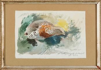 Lennart Segerstråle, Orre.