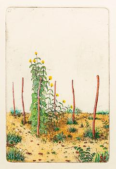 STEN EKLUND, hand colored etching, signed.