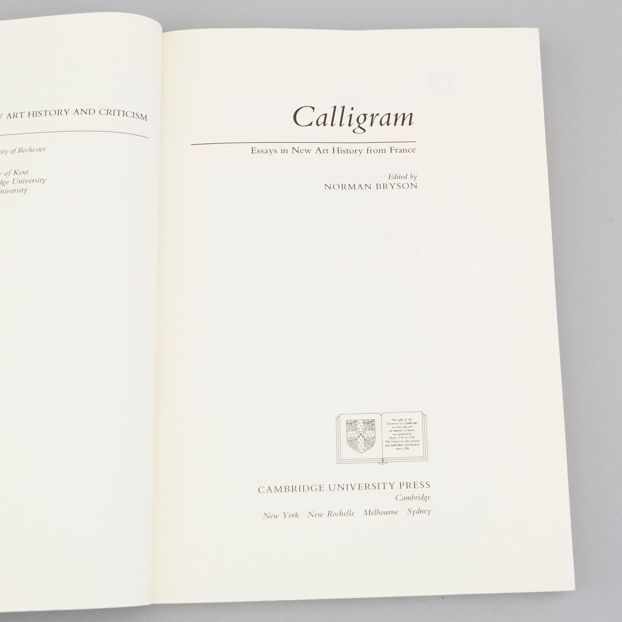 BOOKS, 12 pcs, on contemporary art and theory.