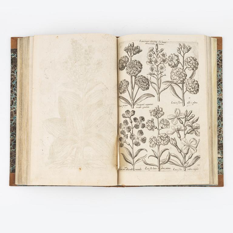 Beautiful botanical work with 177 engravings, 1641 (-44).