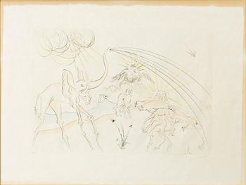 Salvador Dalí, "Plague-Stricken Anilmals".