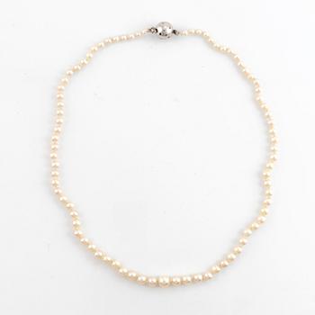 Cultured saltwater pearl necklace, clasp white gold with brilliant cut diamonds.